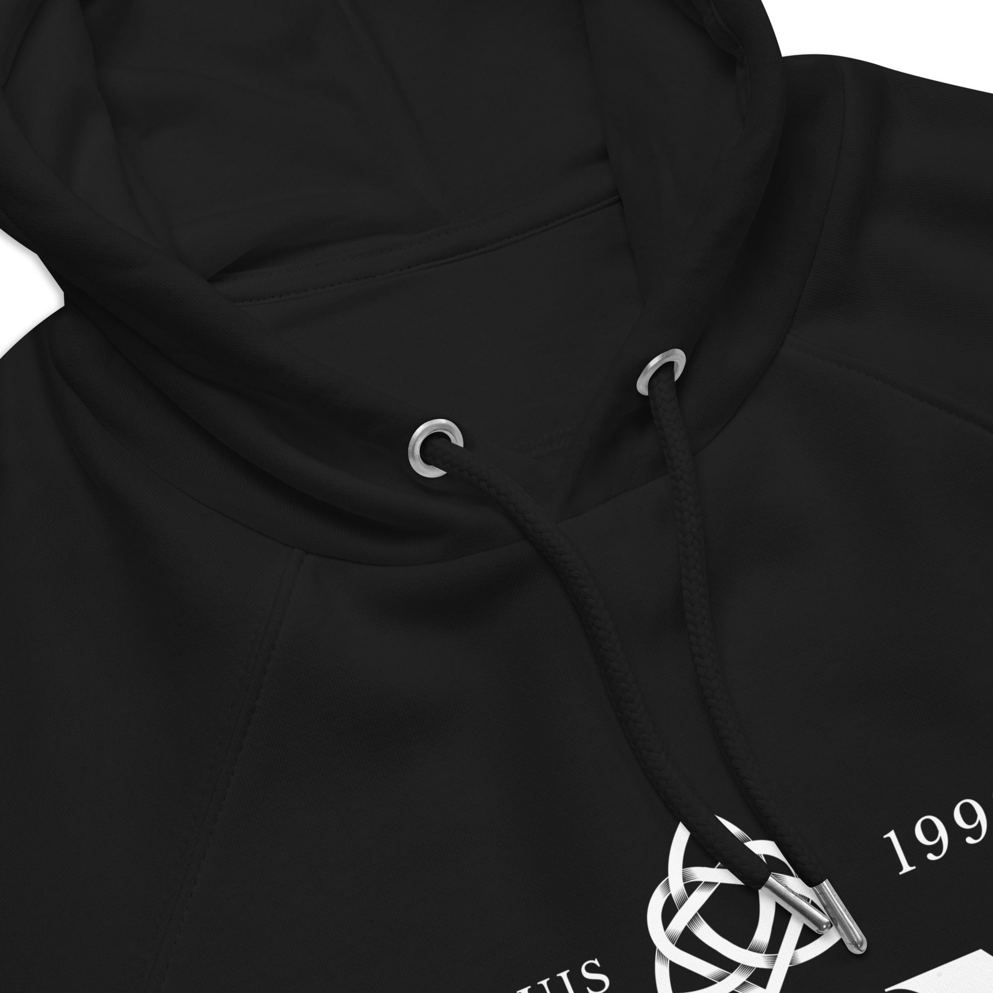 Men's eco raglan hoodie